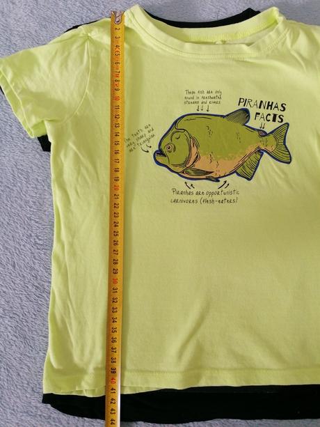 Farebné tričká, fox & bunny,116