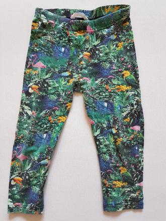 Predám detské legíny zn. pepco, pepco,104