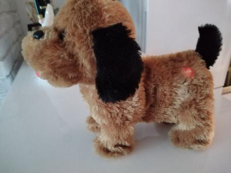 Psik šteká, trošku sa hýbe,