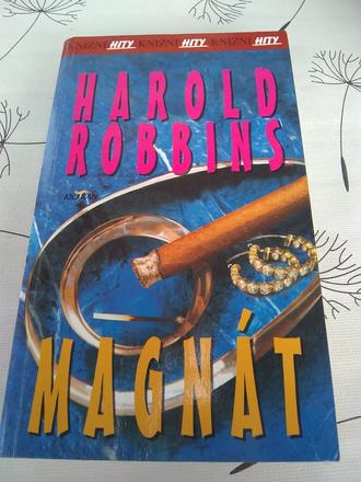 Harold robbins - magnát,