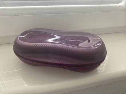 Microplus tupperware,