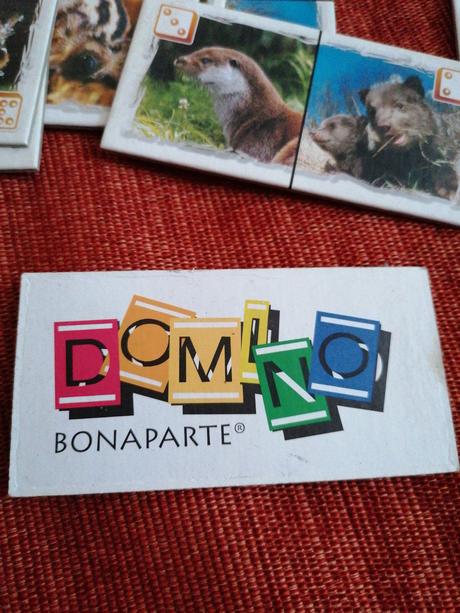 Spoločenská hra-karty, 