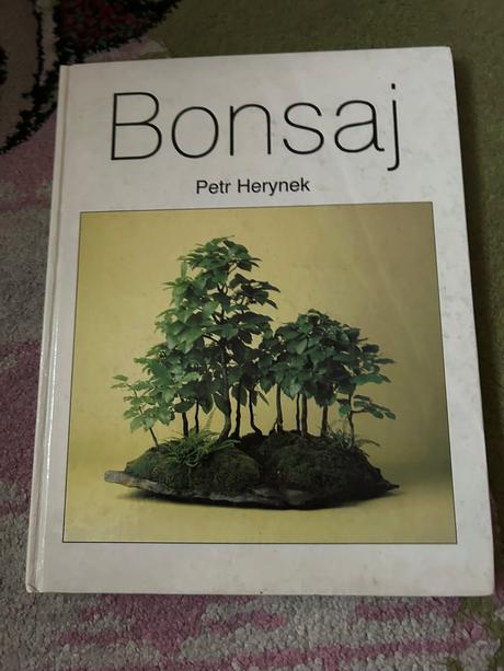 Bonsaj,