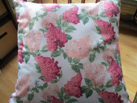 Obliečka hortenzia, 