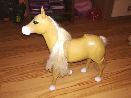 Kráčajúci a erdžiaci koník, 