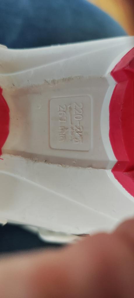 Lyziarky alpina, alpina,25