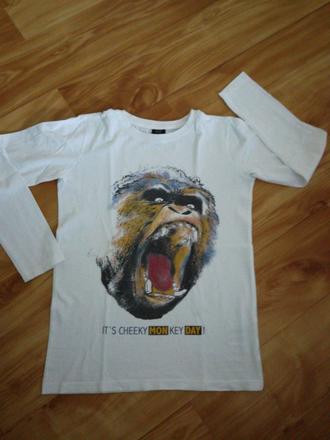 Tricko v.146/152, chapter young,146