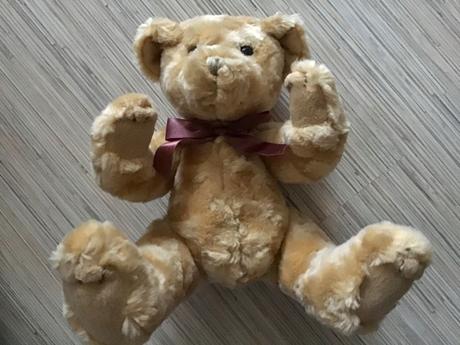 Krasny sediaci macko,