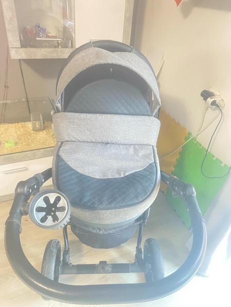 Terojkombinacia gusio florencia, gusio,gusio florencia (florencja)