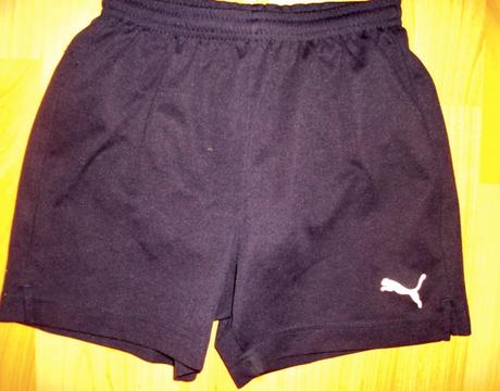 Šortky, puma,140