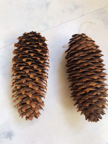 Naturálne ozdoby/šišky 60 ks, 