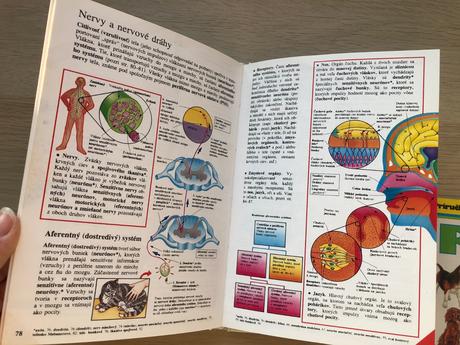 Encyklopédie rôzne,