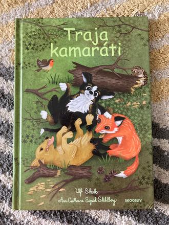 Traja kamaráti (2017), 