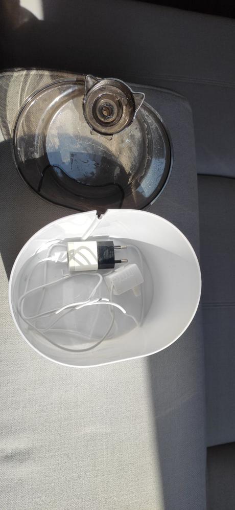 Fontána pre mačky, 