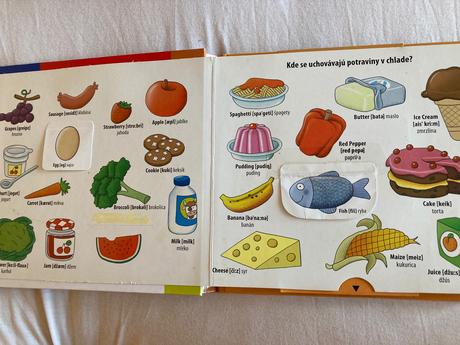 Obrázkový aj slovnik,