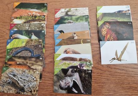 Nalepky animal kingdom,