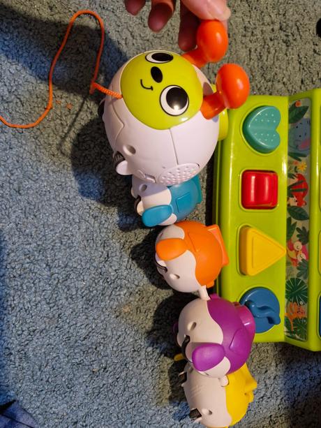 Húsenica vkladačka, 