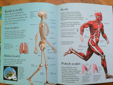 Detská encyklopédia - 300 strán, 
