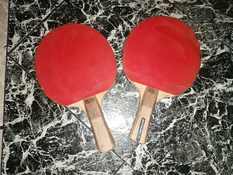 Pingpongove palky, 