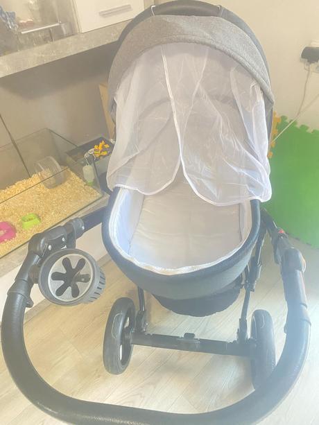 Terojkombinacia gusio florencia, gusio,gusio florencia (florencja)