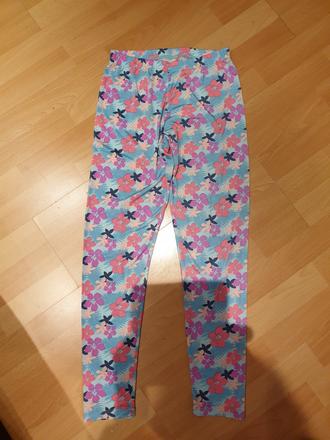 Leginy kenvelo, kenvelo,s