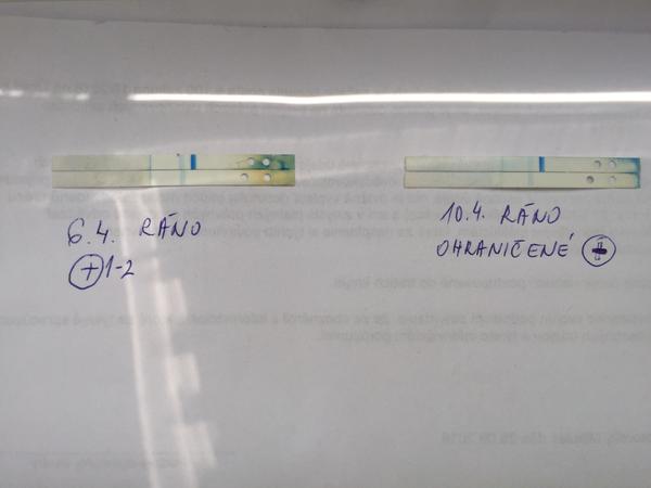 Posledný menzes som mala 1.3.2020. Som tehotná?