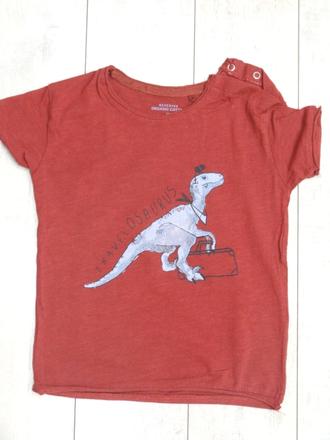 Tričko dino, reserved,104