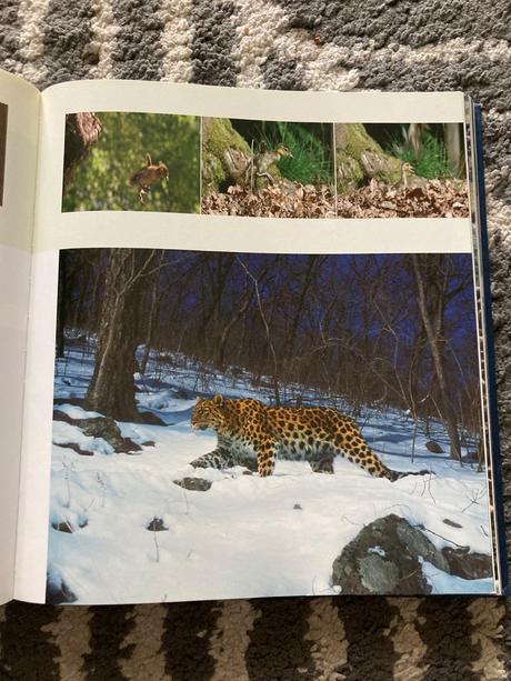 Planéta zem alastair fothergill (2007), 