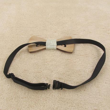 Drevený detský motýlik dinosaurus - viac druhov, 