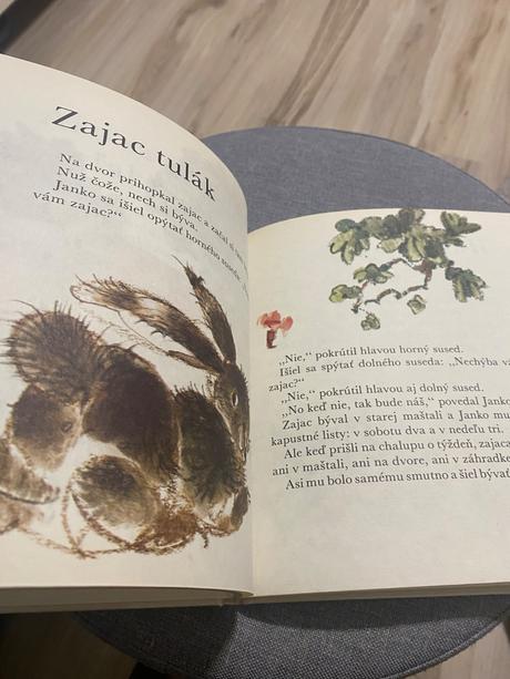 Mária ďuríčková rozprávky jahniatko v batohu, 