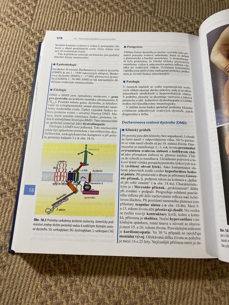 Pediatrie překlad 6. vydání ania carolina muntau,