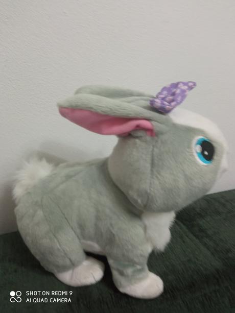 Interaktívny zajac, 