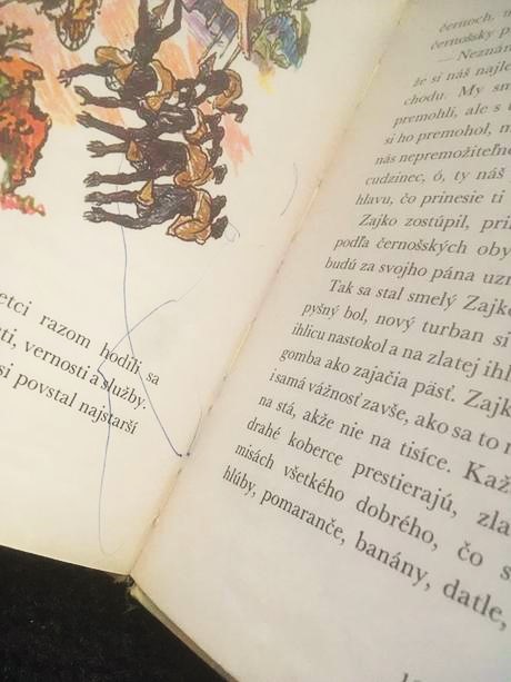 Smelý zajko v afrike,