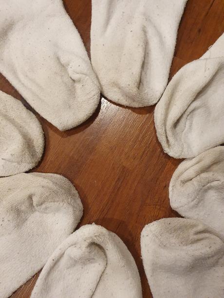 Biele ponožky v.31 až 33, bio bavlna 4 páry, donnay,31