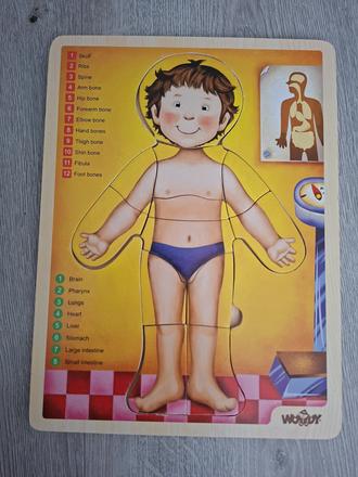 Woody puzzle, ľudské telo,