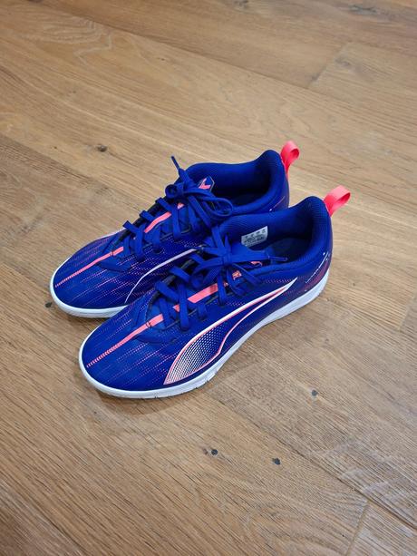 Halovky puma, puma,37