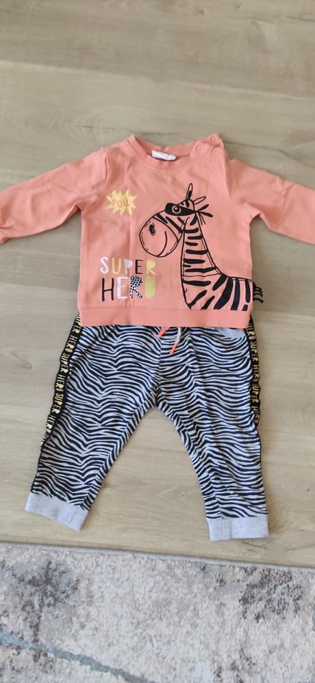 Súprava zebra, coccodrillo,86