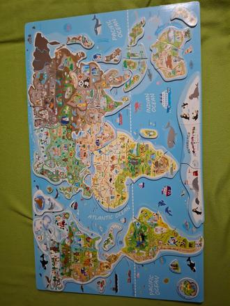 Magnetická mapa woody,