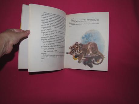 Rudo moric - ako som krstil medveďa /1976/, 