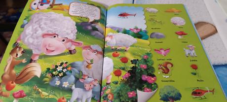 Máme radi zvieratá,