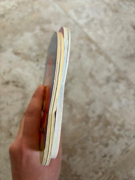 Knihy pre deti žirafa,lev, 