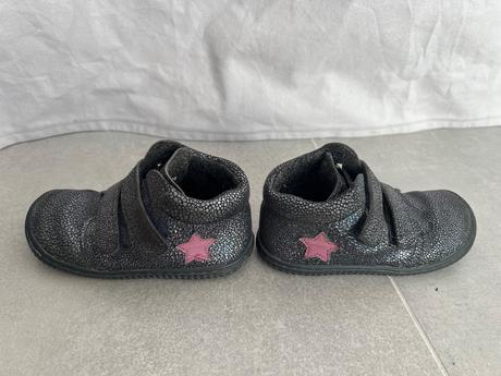 Filii chameleon, filii,25