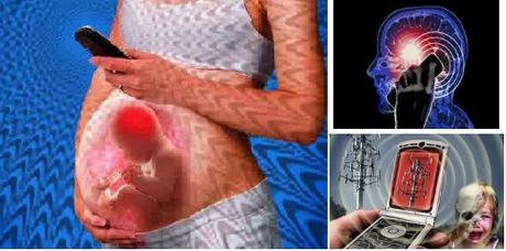 Faradayova klietka pre tehulky / rušička gsm, 