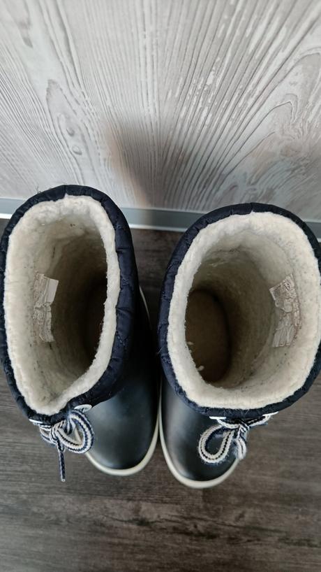 Aigle snehule, aigle,28