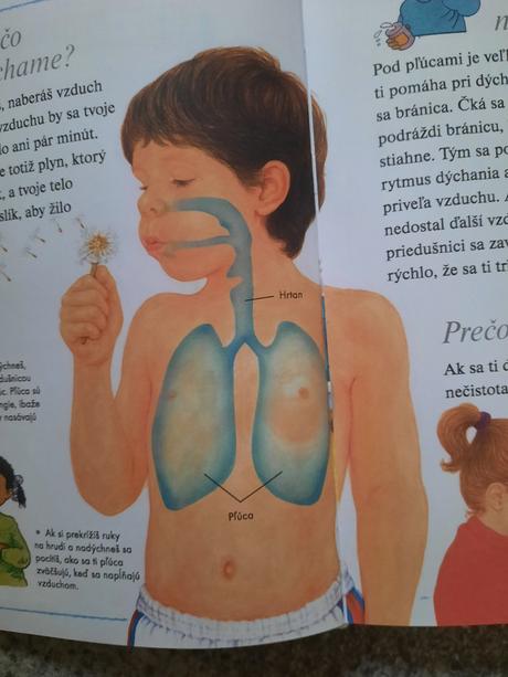 Chcem vedieť prečo - detská encyklopédia,