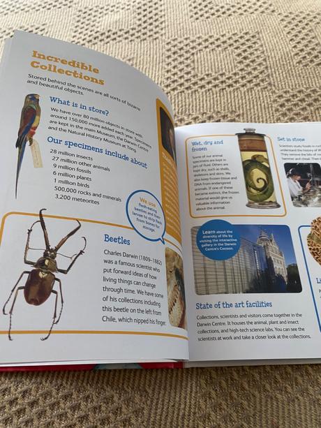 London natural history museum kids only, 