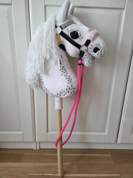 Hobby horsing, 