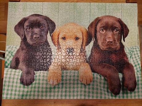 Puzzle 1000, 