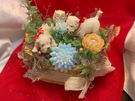 Detska mydlova kytica, 