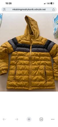 Bunda cocodrilo 176, coccodrillo,176